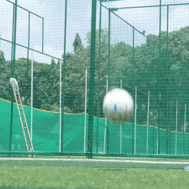  Safe To Play